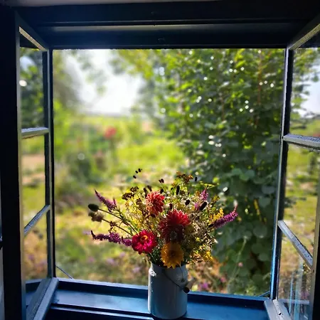 Appartement Pacsirta Porta