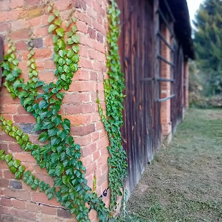 Pacsirta Porta Appartement *