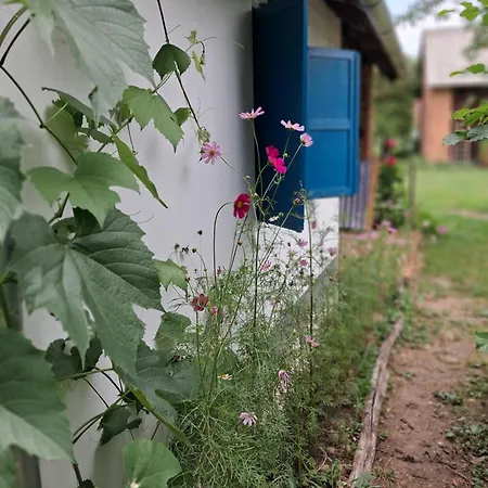 Pacsirta Porta Appartement Nemesnép