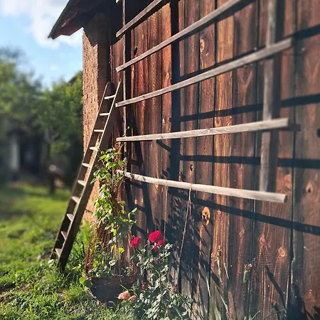 Pacsirta Porta *